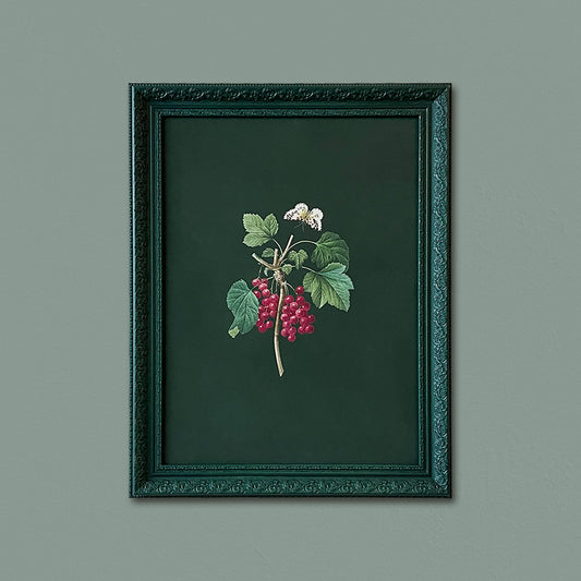 Ornate Botanicals 2 Mixed Media Wall Art for Home Decor| Canvas Painting Artwork for Wall | Wall Decor | Wall Painting for Cafe, Restaurant, Living Room, Home Decor