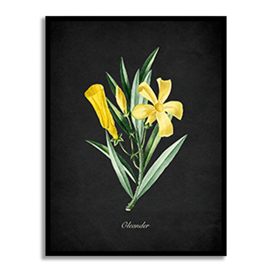 Night Garden 12 - Oleander Wall Artwork | Nature Canvas Painting for Wall | Wall Decor | Wall Painting