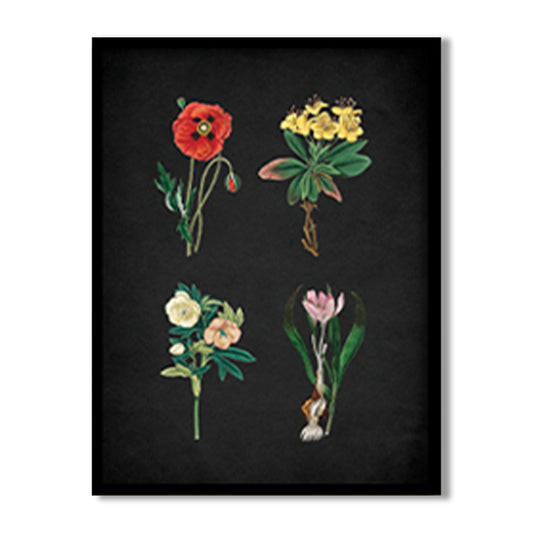 Noir Bloom 1 Wall Artwork | Nature Canvas Painting for Wall | Wall Decor | Wall Painting