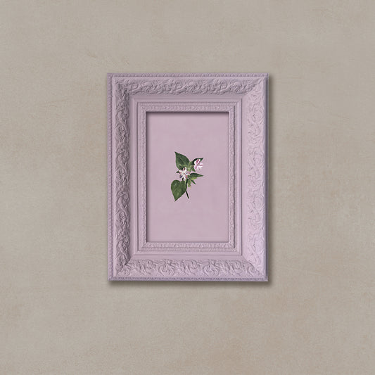 Ornate Botanicals 6 Mixed Media Wall Art for Home Decor| Canvas Painting Artwork for Wall | Wall Decor | Wall Painting for Cafe, Restaurant, Living Room, Home Decor