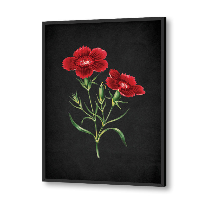 Noir Bloom 3 Nature Wall Art |Vintage Canvas Painting for Wall | Wall Decor | Wall Painting