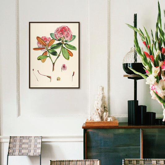 Botanical 11 Vintage Wall Artwork | Canvas Painting for Wall | Wall Decor | Wall Painting for Living Room | Bedroom