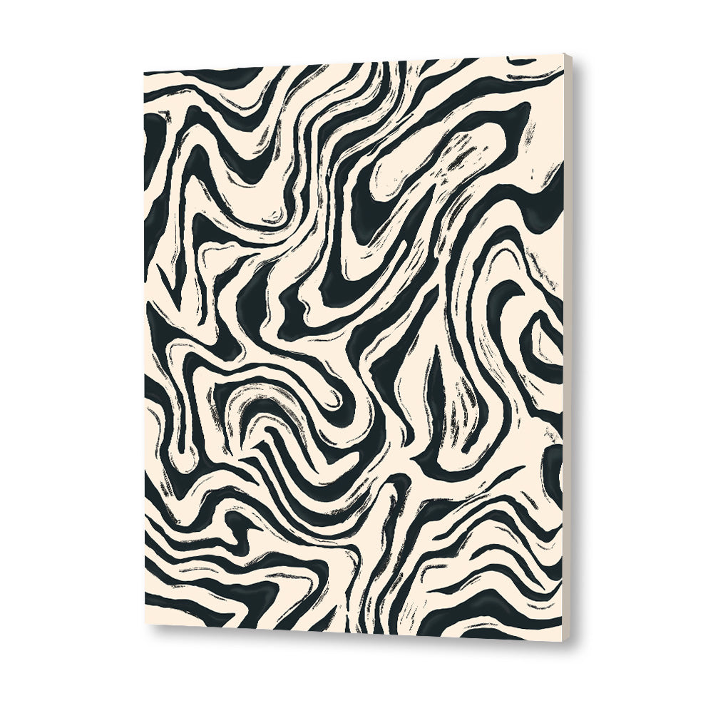 Abstract Fluid Black and White Canvas Wall Art Print
