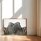 Zebras Black and White Artwork Canvas Print for Wall