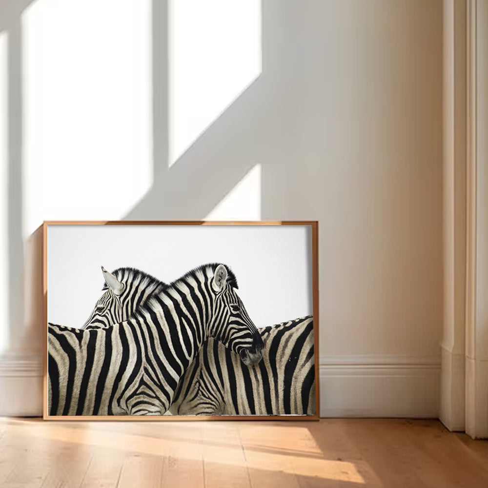 Zebras Black and White Artwork Canvas Print for Wall shown in a room