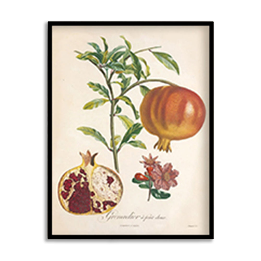 Botanical 4 Vintage Artwork Canvas Print for Wall