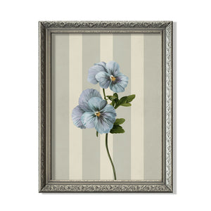 Blue Pansy Bloom – Vintage Botanical Wall Art