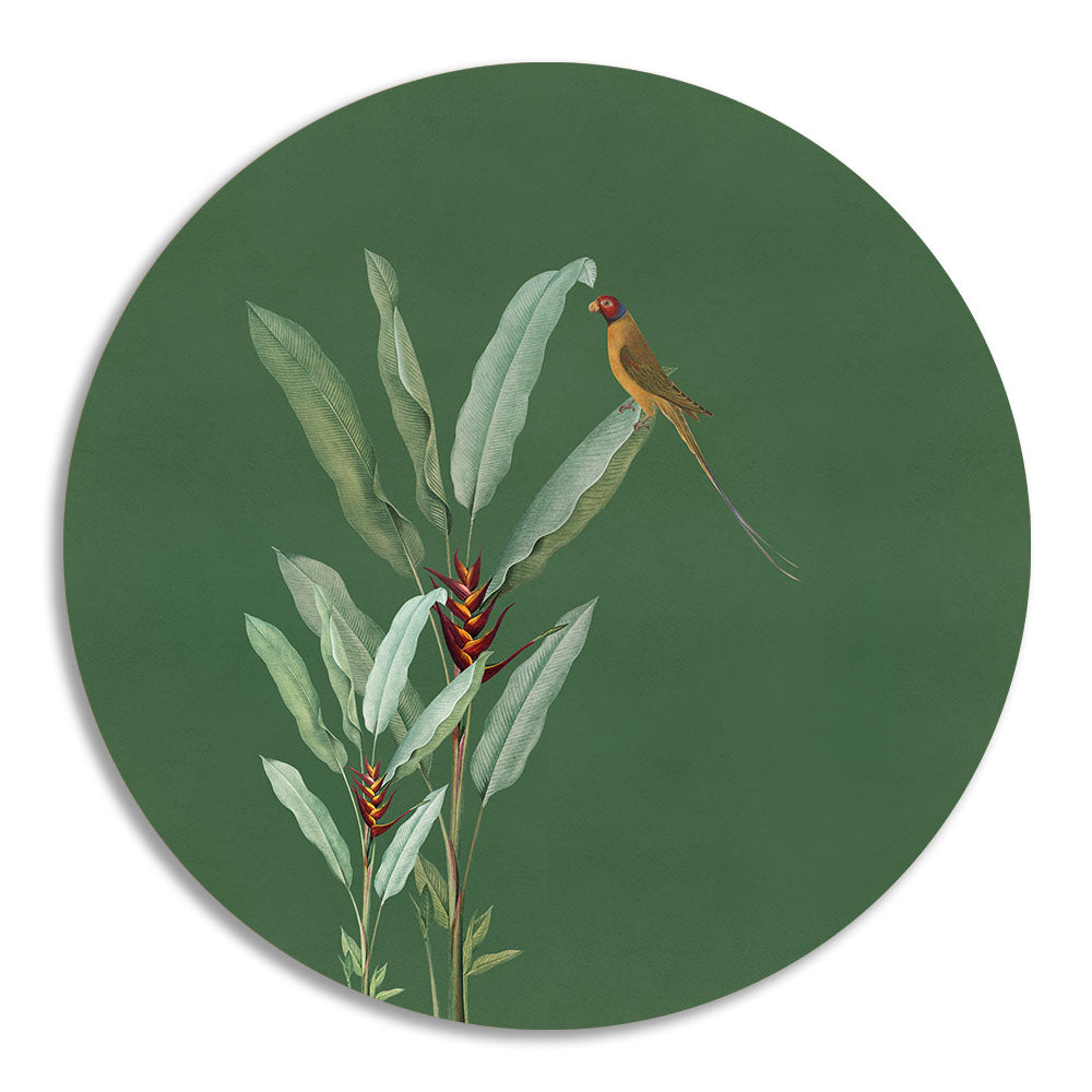 Grove 3 (Round) Nature Artwork Canvas Print for Wall