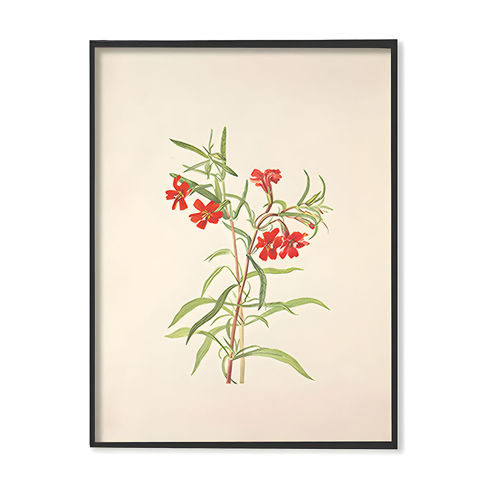 Minimal Botanical 1 Vintage Artwork Canvas Print for Wall