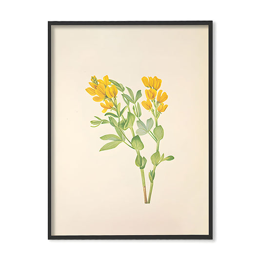 Minimal Botanical 2 Vintage Artwork Canvas Print for Wall