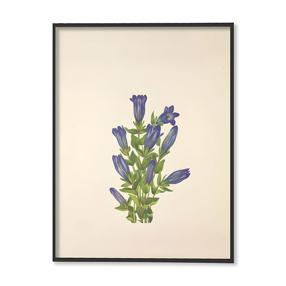 Minimal Botanical 3 Vintage Artwork Canvas Print for Wall