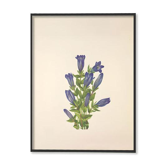 Minimal Botanical 3 Vintage Artwork Canvas Print for Wall