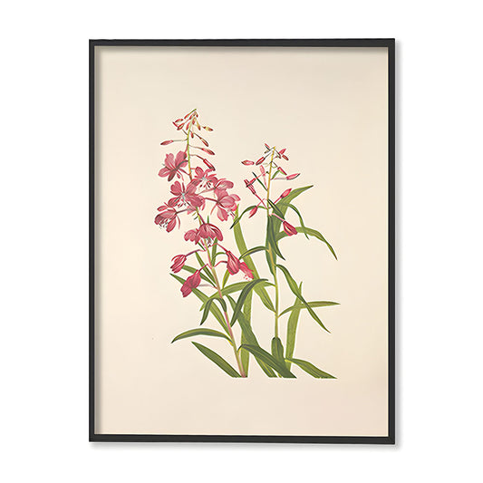 Minimal Botanical 4 Vintage Artwork Canvas Print for Wall
