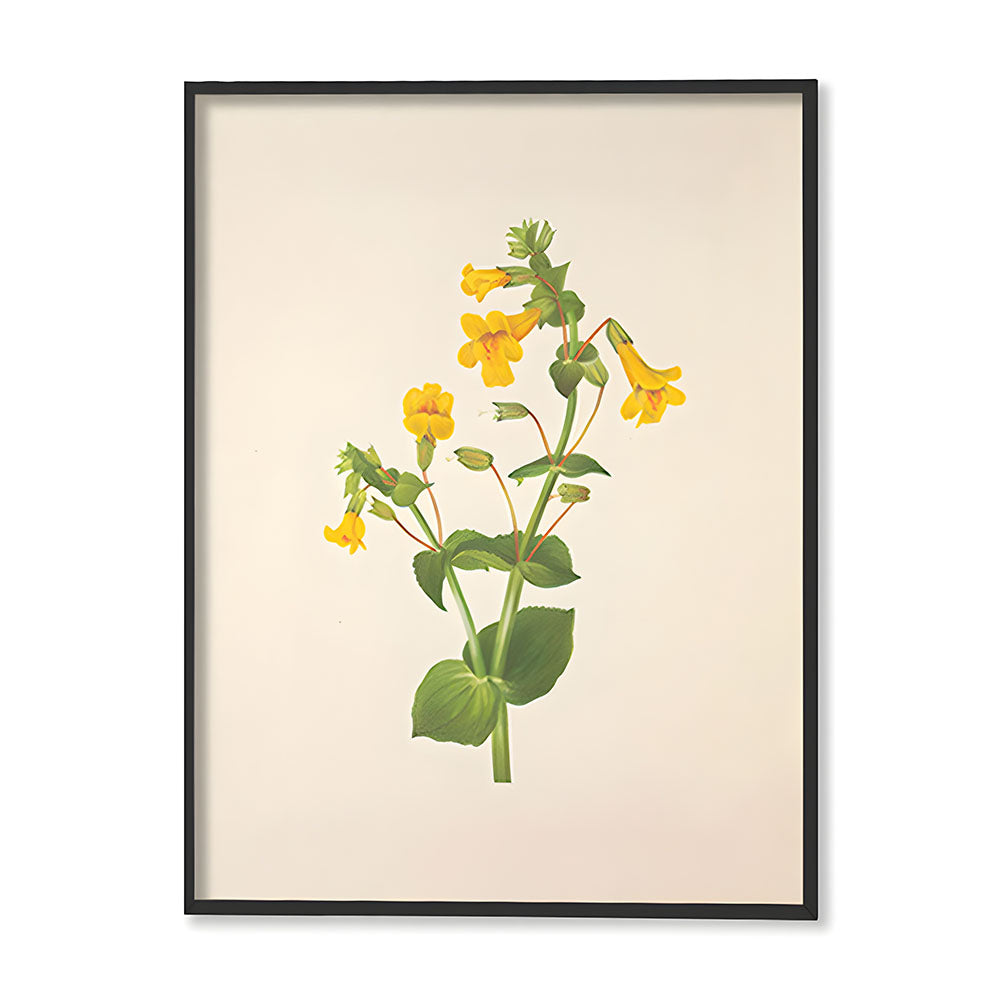 Minimal Botanical 5 Vintage Artwork Canvas Print for Wall