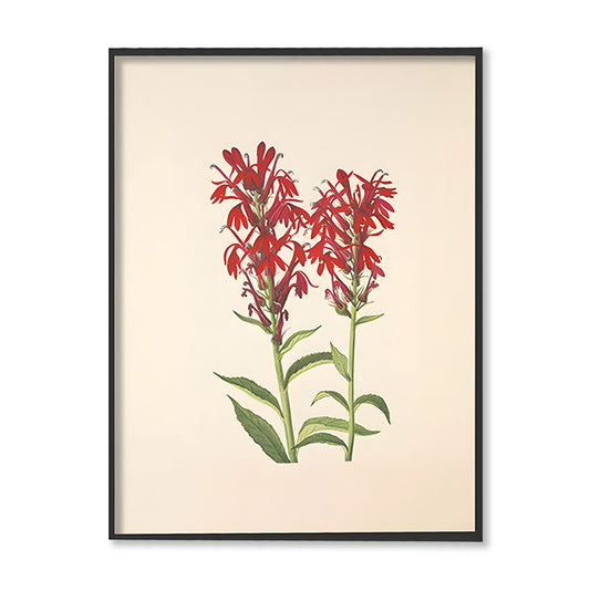 Minimal Botanical 6 Vintage Artwork Canvas Print for Wall