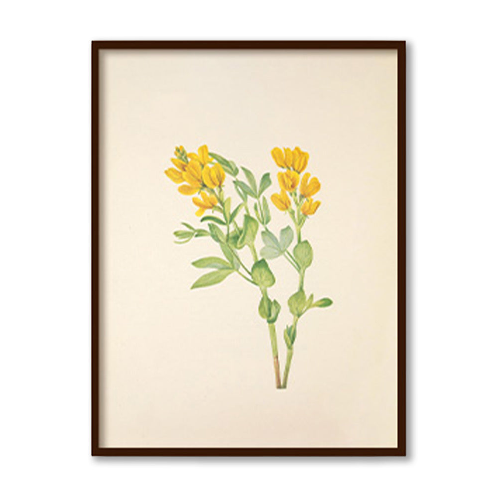 Minimal Botanical 2 Vintage Artwork Canvas Print for Wall