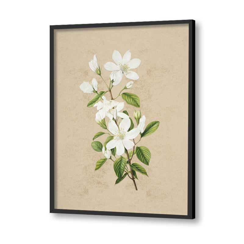 Vintage Blooms Set of 2 Nature Artwork Canvas Print for Wall