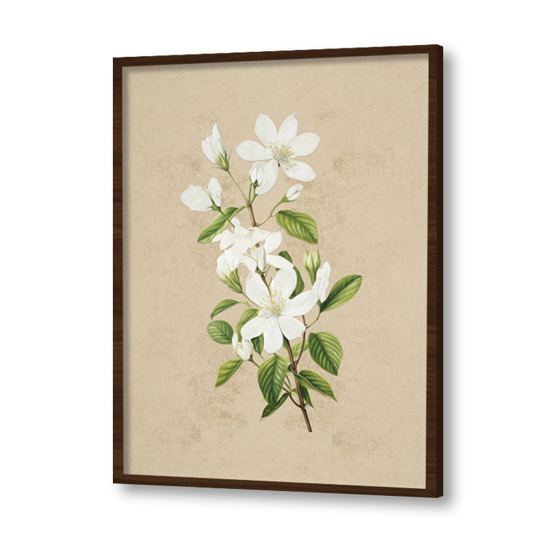 Vintage Blooms Set of 2 Nature Artwork Canvas Print for Wall