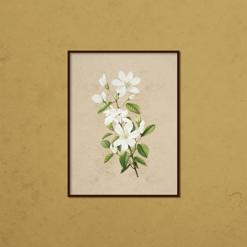 Vintage Blooms Set of 2 Nature Artwork Canvas Print for Wall