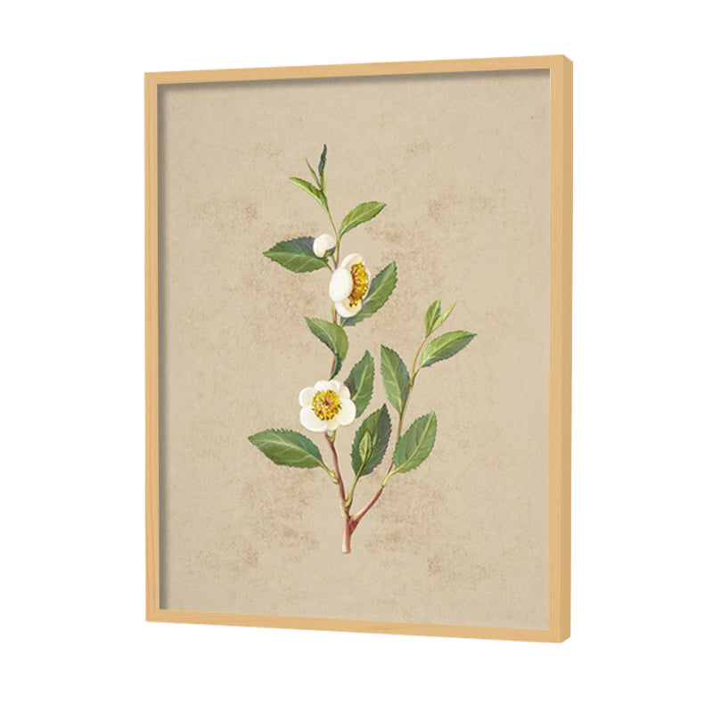 Vintage Blooms Set of 2 Nature Artwork Canvas Print for Wall