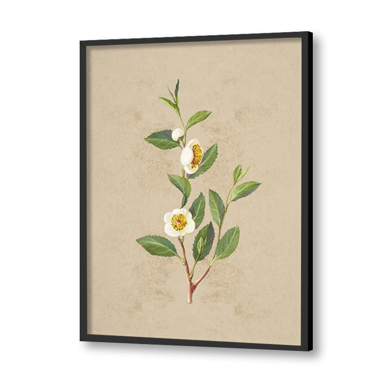 Vintage Blooms Set of 2 Nature Artwork Canvas Print for Wall