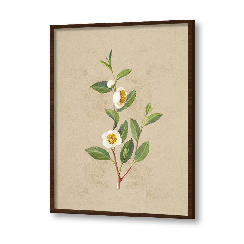 Vintage Blooms Set of 2 Nature Artwork Canvas Print for Wall