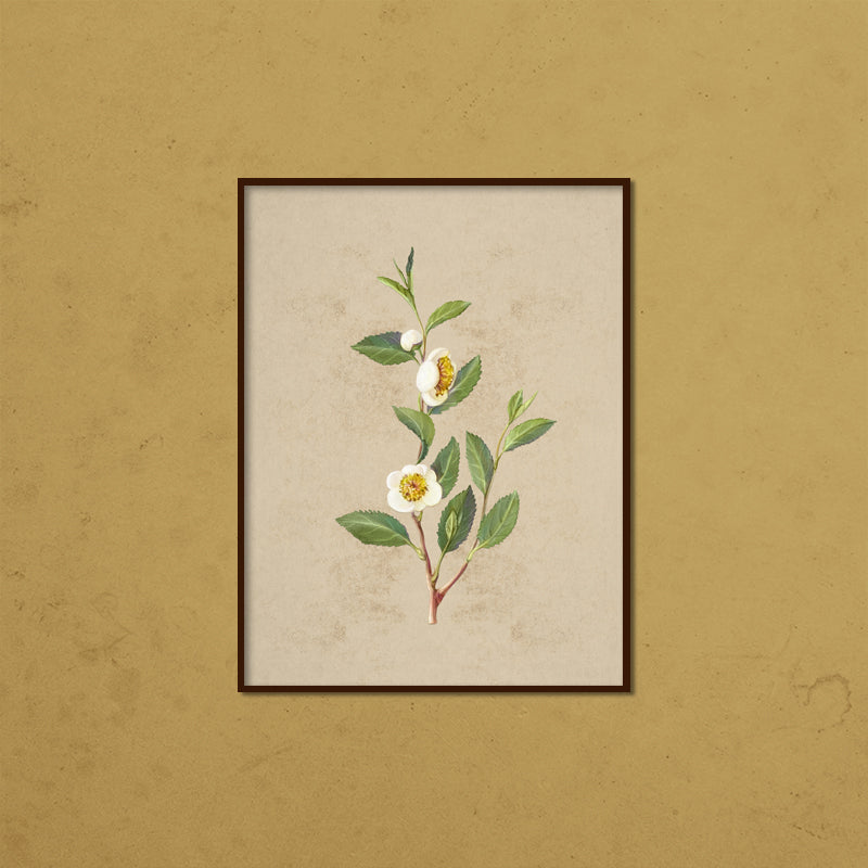 Vintage Blooms Set of 2 Nature Artwork Canvas Print for Wall