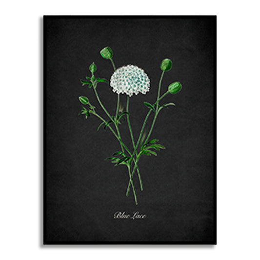 Night Garden 11 - Blue Lace Wall Artwork | Nature Canvas Painting for Wall | Wall Decor | Wall Painting