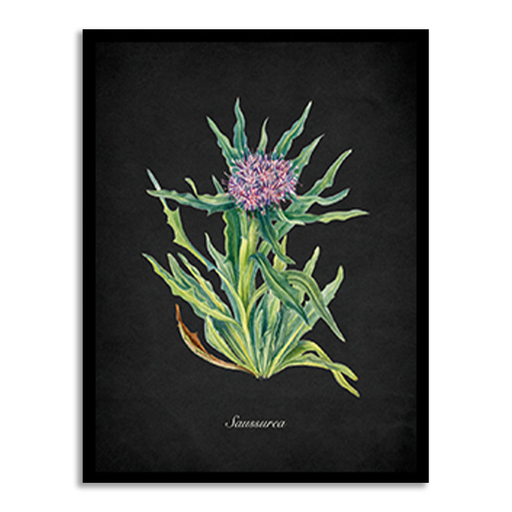 Night Garden 9 - Sausserea Wall Artwork | Nature Canvas Painting for Wall | Wall Decor | Wall Painting