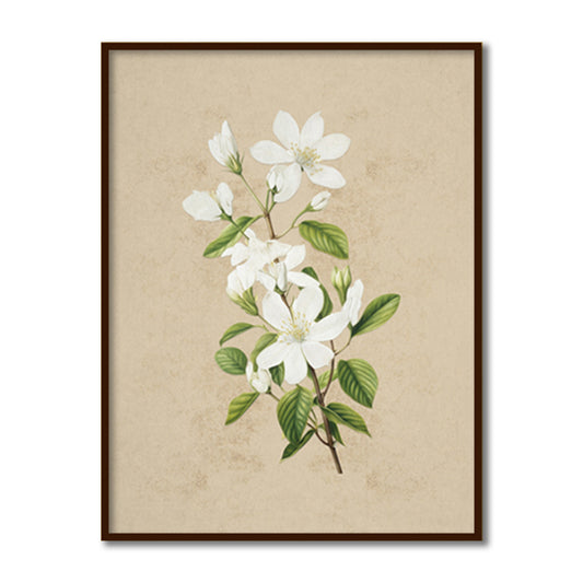 Vintage Blooms Set of 2 Wall Artwork | Nature Canvas Painting for Wall | Wall Decor | Wall Painting