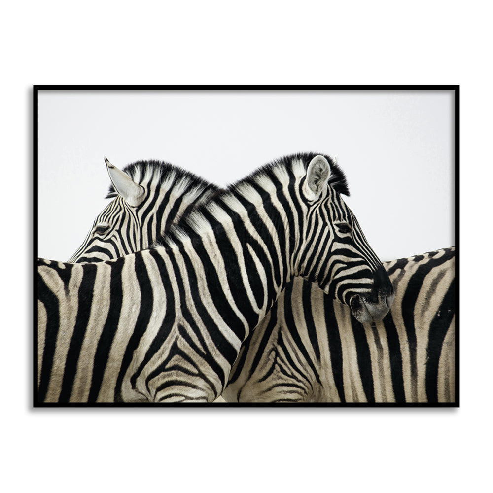 Zebras Black and White Artwork Canvas Print for Wall