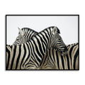 Zebras Black and White Artwork Canvas Print for Wall