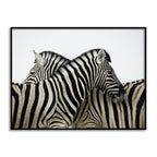 Zebras Black and White Artwork Canvas Print for Wall