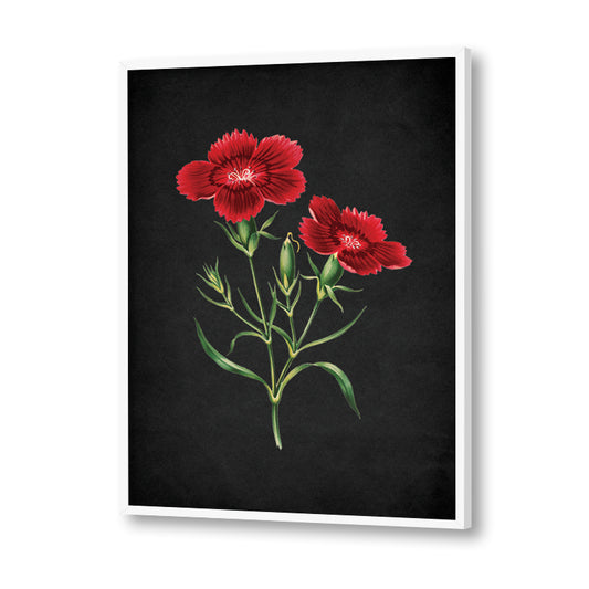 Noir Bloom 3 Nature Wall Art  |Vintage Canvas Painting for Wall | Wall Decor | Wall Painting