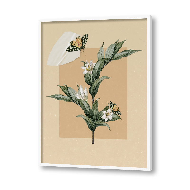 White frame