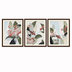 Pastel Floral Set of 3 (With Mount) Nature Canvas Wall Art Print