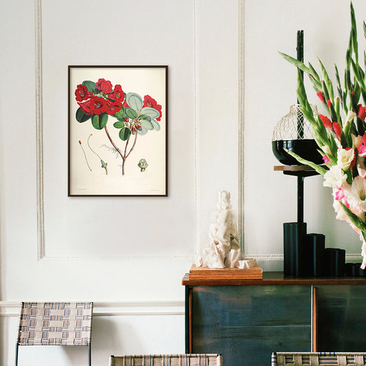 Botanical 10 Vintage Wall Artwork | Canvas Painting for Wall | Wall Decor | Wall Painting for Living Room | Bedroom