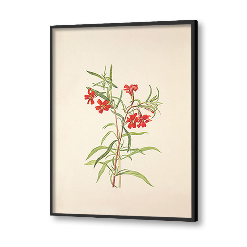 Minimal Botanical 1 Vintage Artwork Canvas Print for Wall
