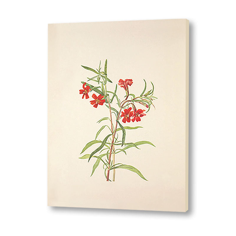 Minimal Botanical 1 Vintage Artwork Canvas Print for Wall