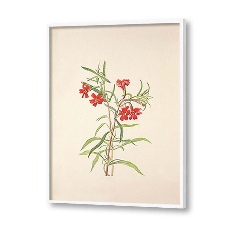 Minimal Botanical 1 Vintage Artwork Canvas Print for Wall