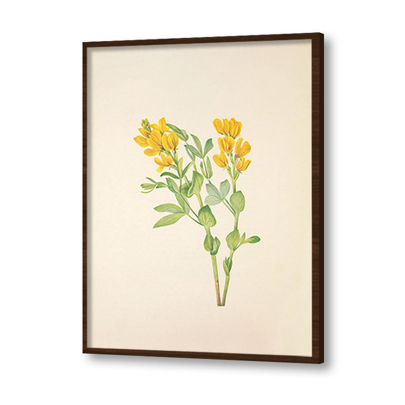 Minimal Botanical 2 Vintage Artwork Canvas Print for Wall
