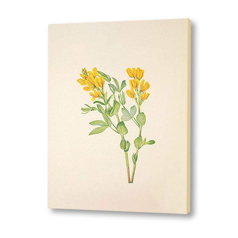 Minimal Botanical 2 Vintage Artwork Canvas Print for Wall
