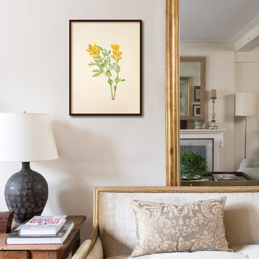Minimal Botanical 2 Vintage Artwork Canvas Print for Wall