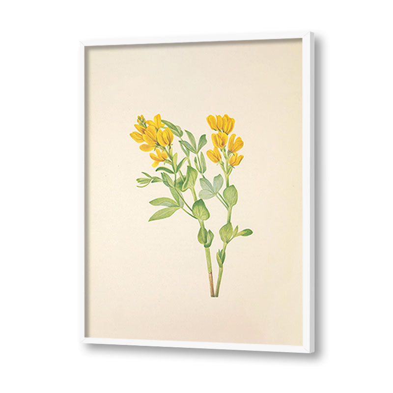 Minimal Botanical 2 Vintage Artwork Canvas Print for Wall