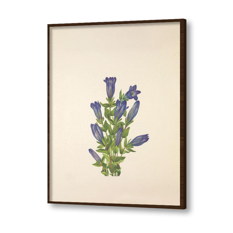 Minimal Botanical 3 Vintage Artwork Canvas Print for Wall