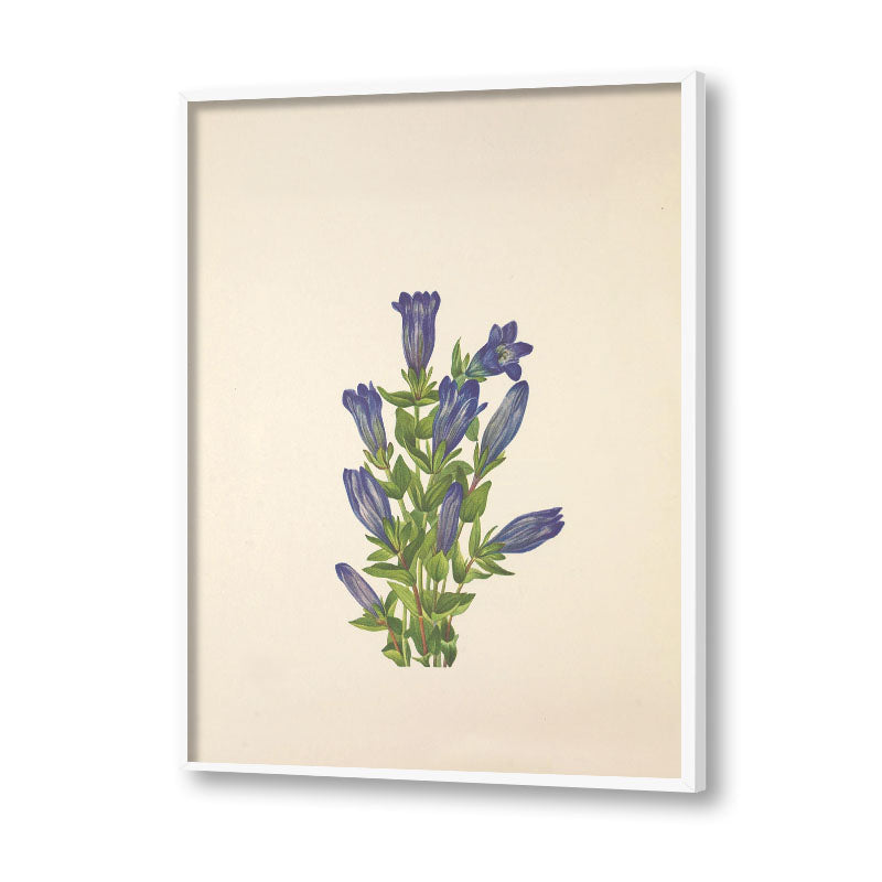 Minimal Botanical 3 Vintage Artwork Canvas Print for Wall