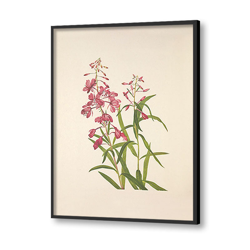 Minimal Botanical 4 Vintage Artwork Canvas Print for Wall