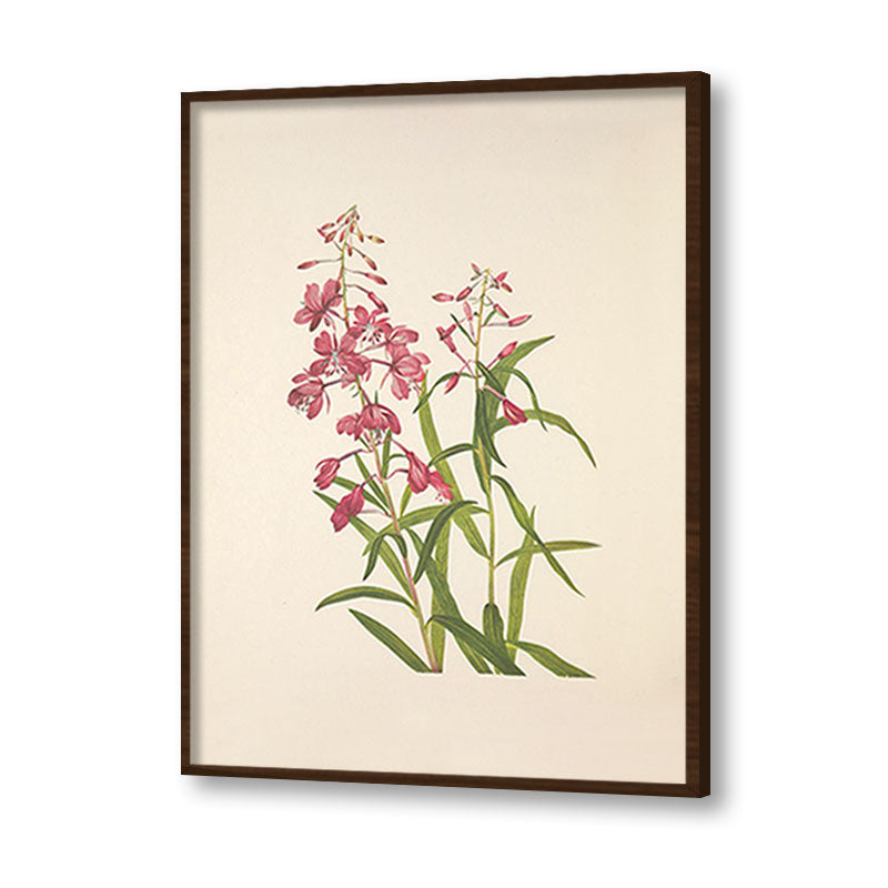 Minimal Botanical 4 Vintage Artwork Canvas Print for Wall