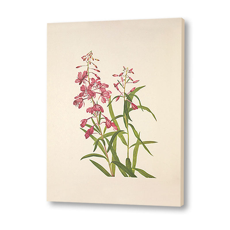 Minimal Botanical 4 Vintage Artwork Canvas Print for Wall