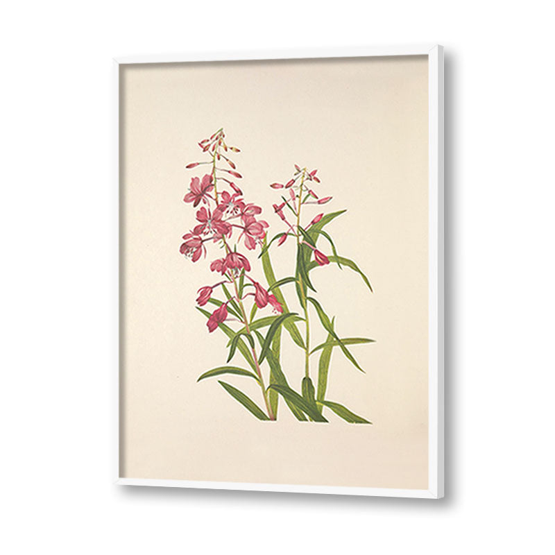 Minimal Botanical 4 Vintage Artwork Canvas Print for Wall